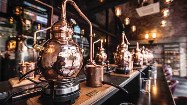 Gin School