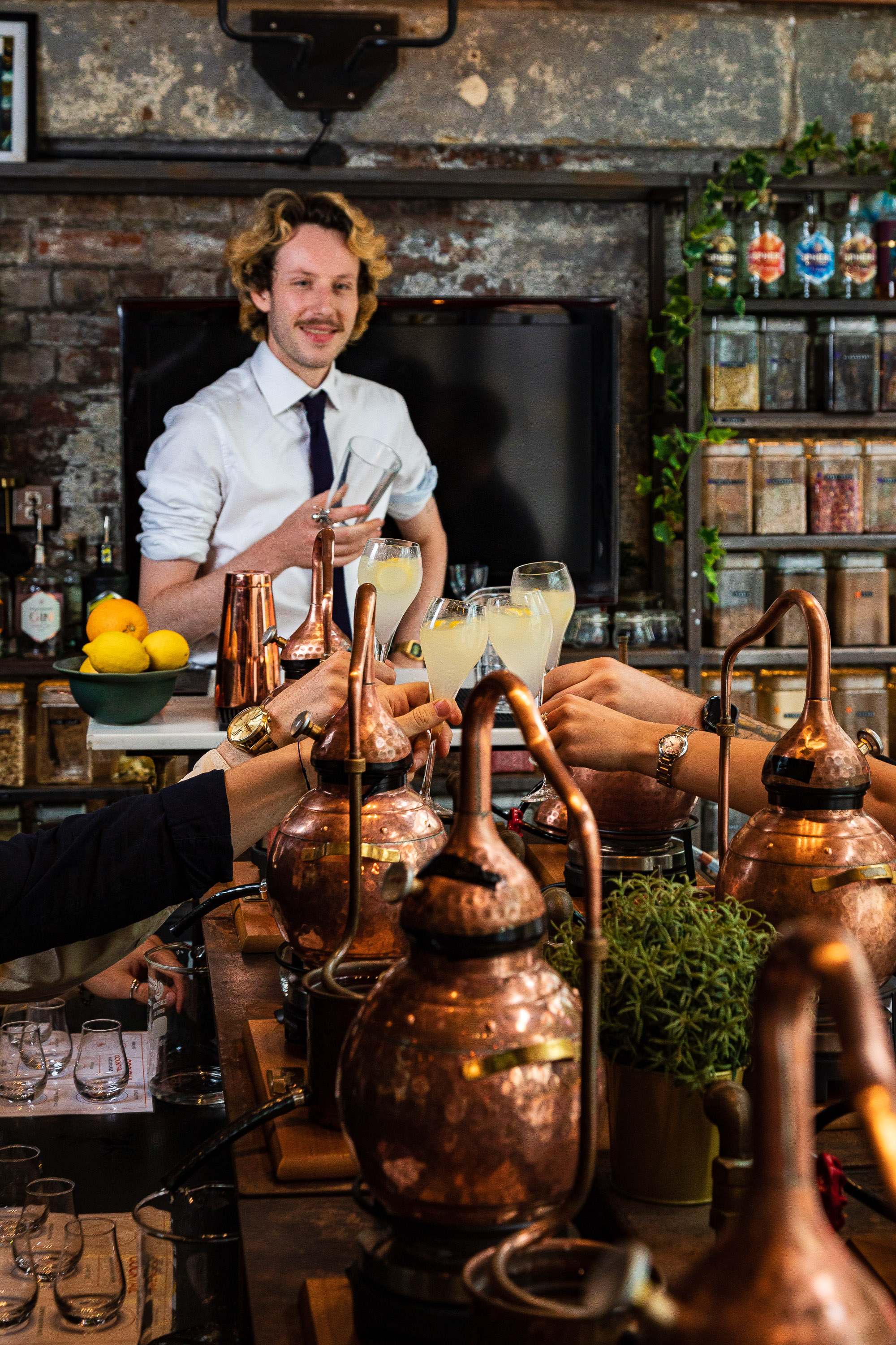 Gin School - icnstobkjda.jpg