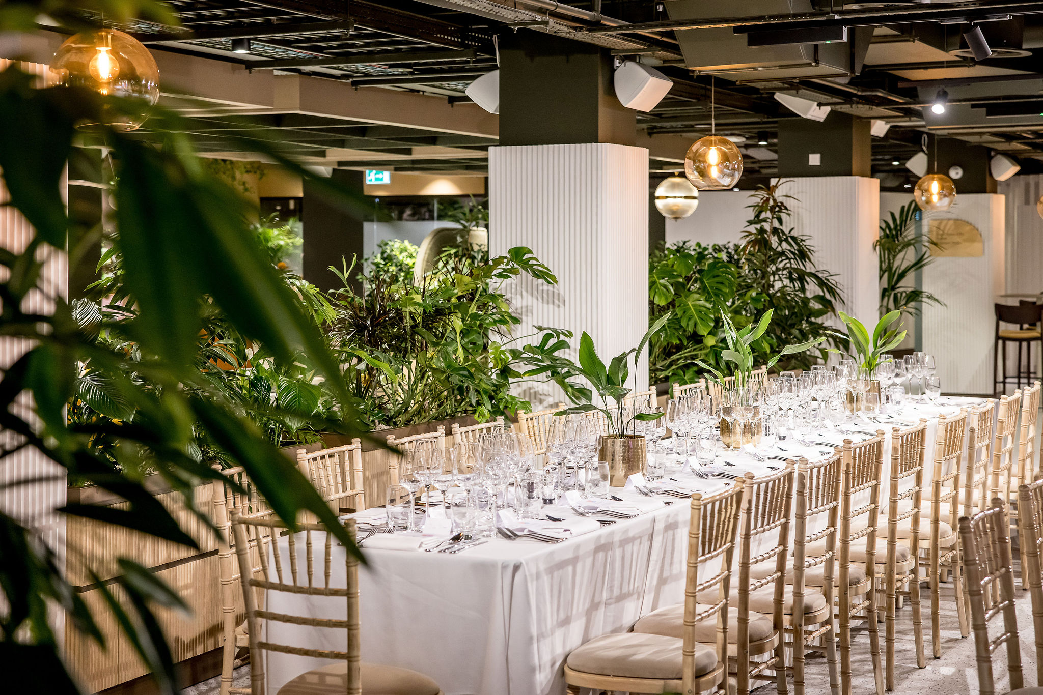 Central London event space with elegant dining setup and lush greenery for upscale gatherings.