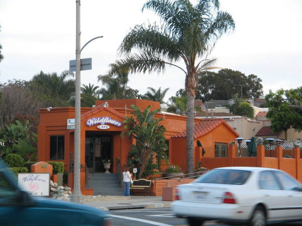Wildflower Cafe interior for intimate event buyouts and casual team lunch venue.