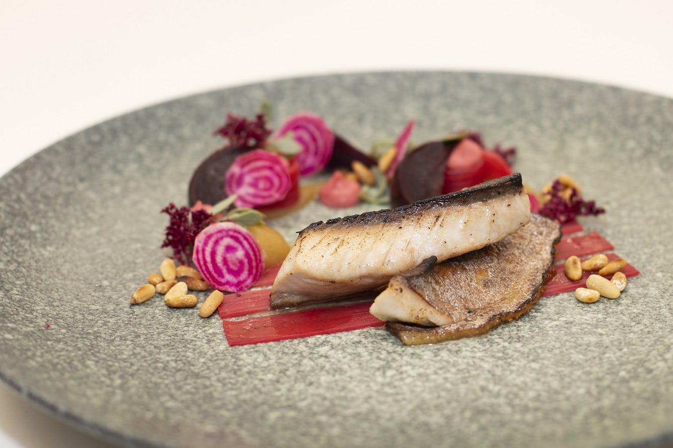 Seared fish dish with vibrant vegetables at John Newsom-Davis Suite, event dining.