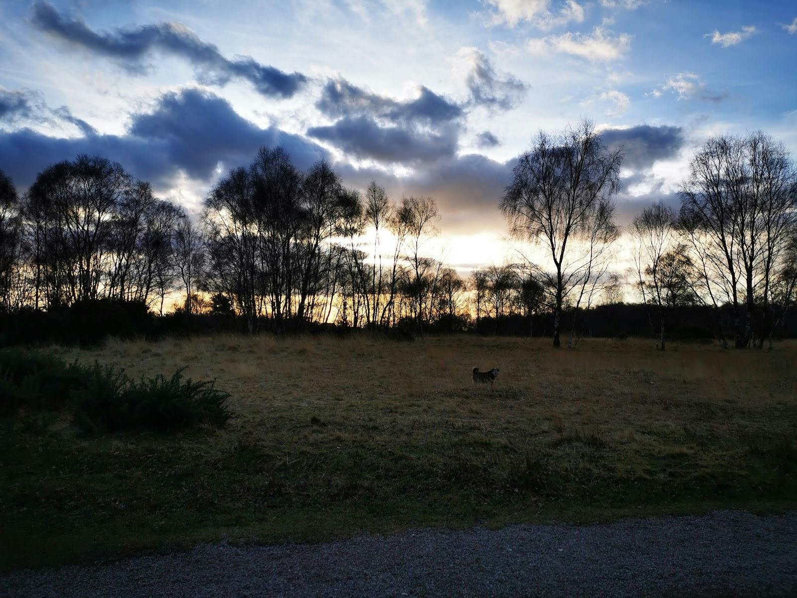 York Golf Club - >Christine Richardson</a>