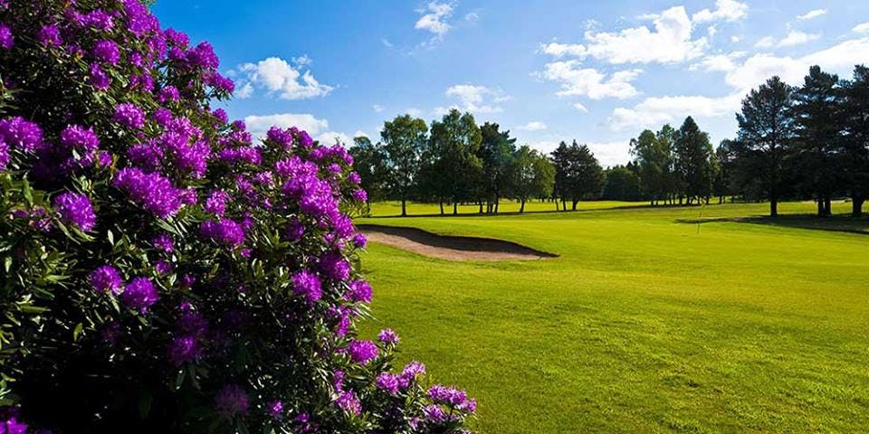 York Golf Club - >York Golf Club</a>