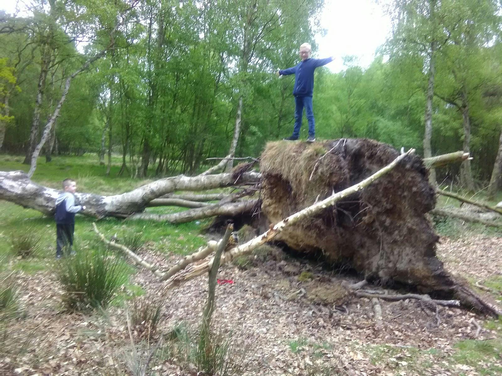 York Golf Club - >Lisa Douglas</a>