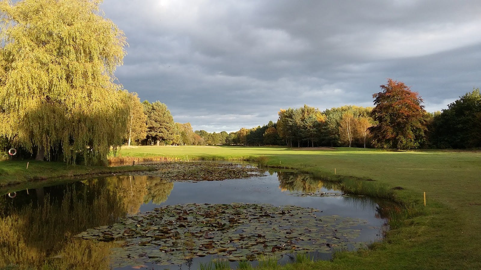 York Golf Club - >Peter Kelly</a>