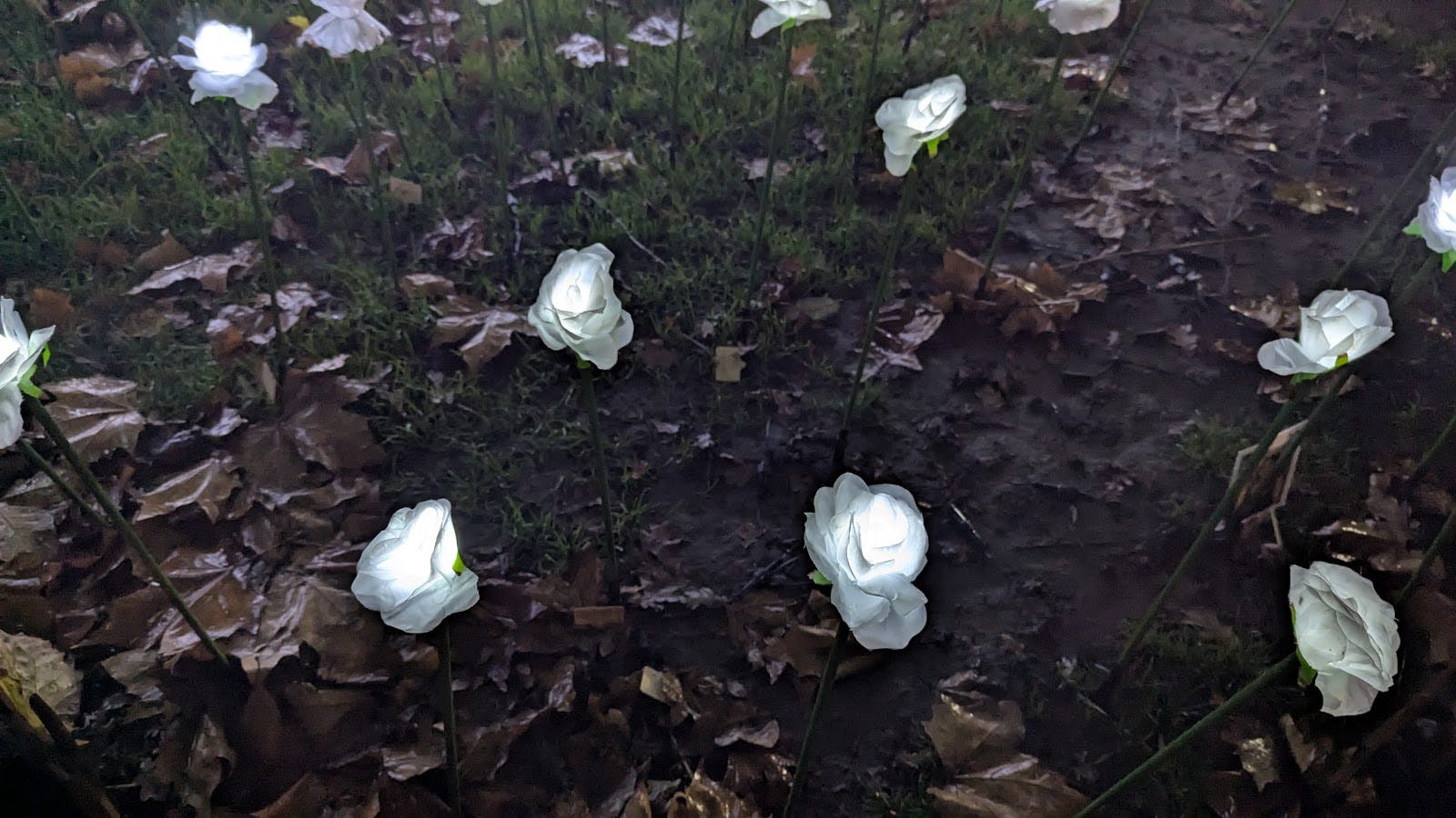 XCHG - >Maurizio Turcheschi</a>