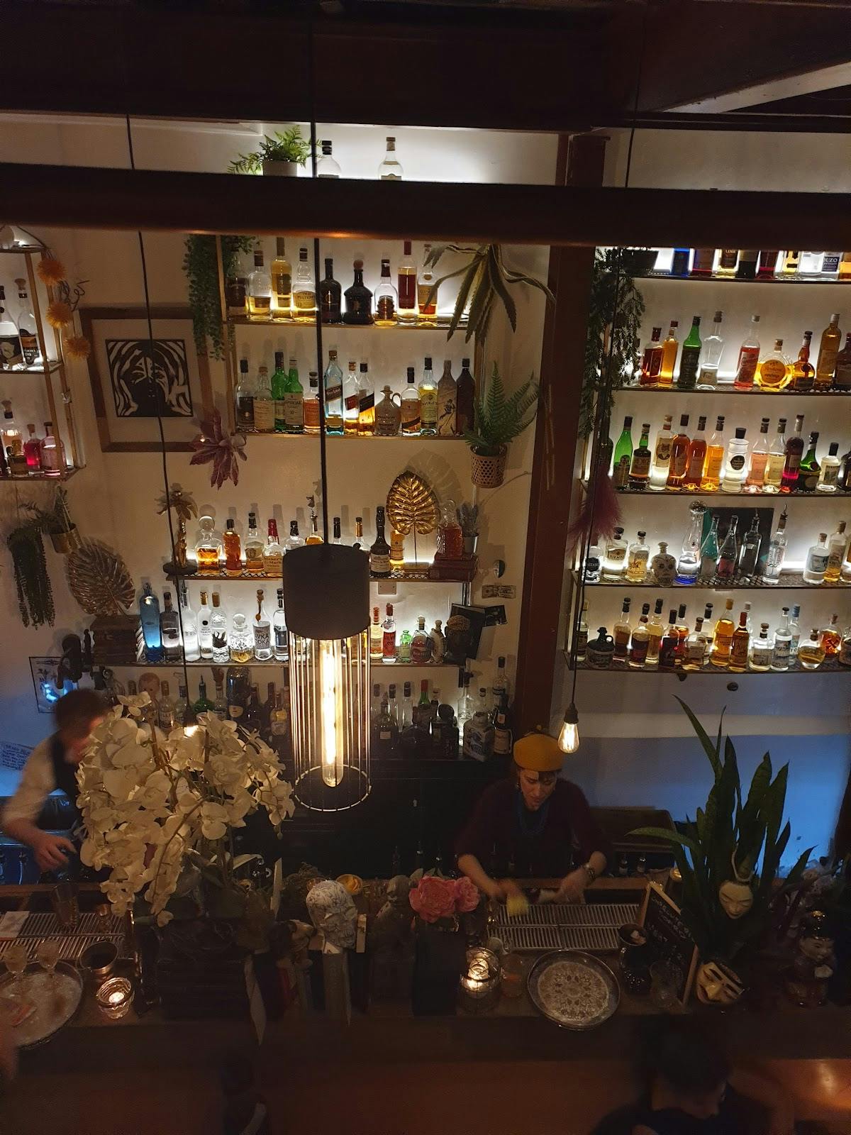 Zapoi - >Sian Nelson</a>