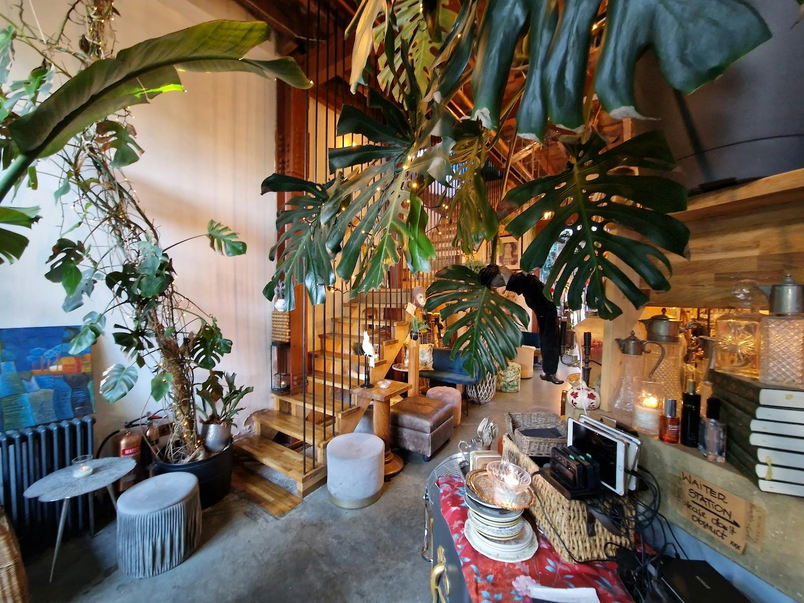 Zapoi - >Anthony Manmohan</a>