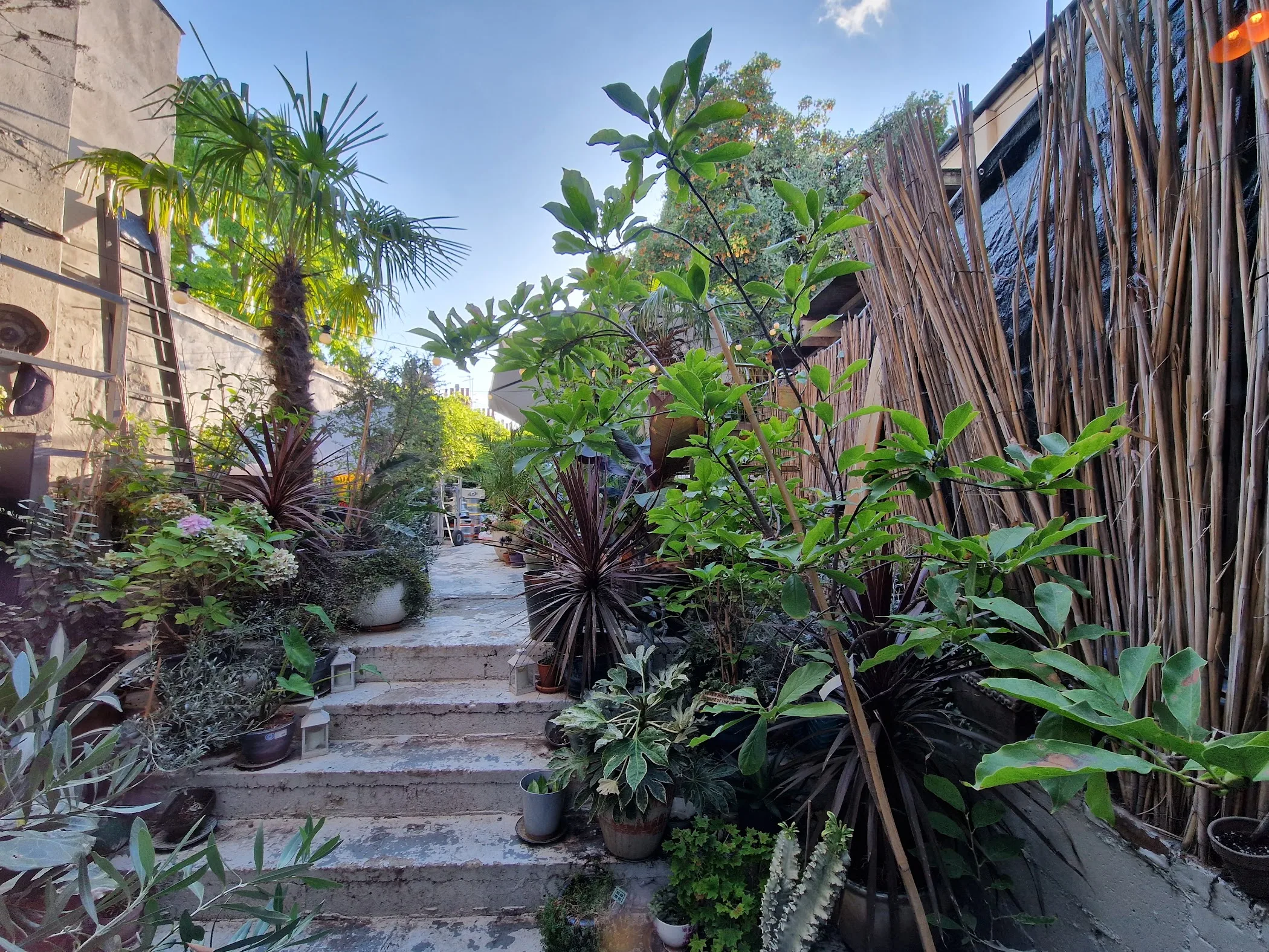 Zapoi | TortoisePath | United Kingdom ????