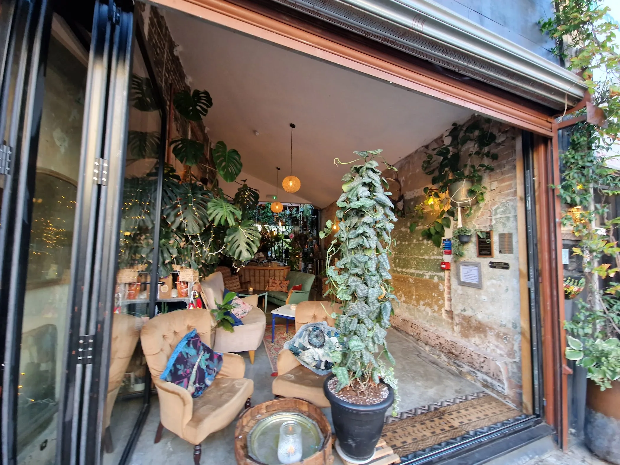 Zapoi | TortoisePath | United Kingdom ????