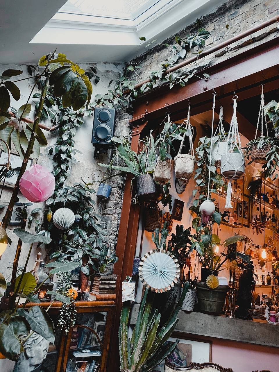 Zapoi — The London 100