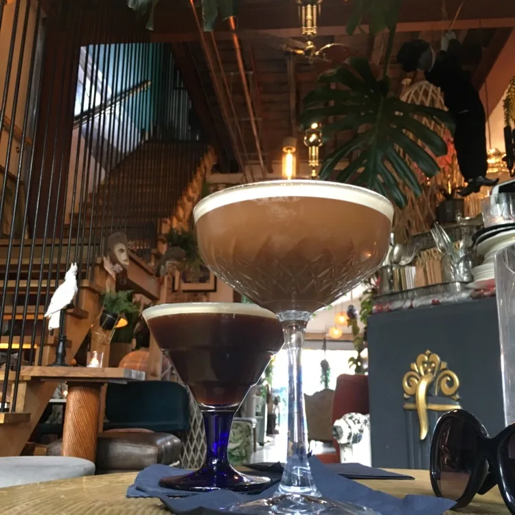 Zapoi | TortoisePath | United Kingdom ????