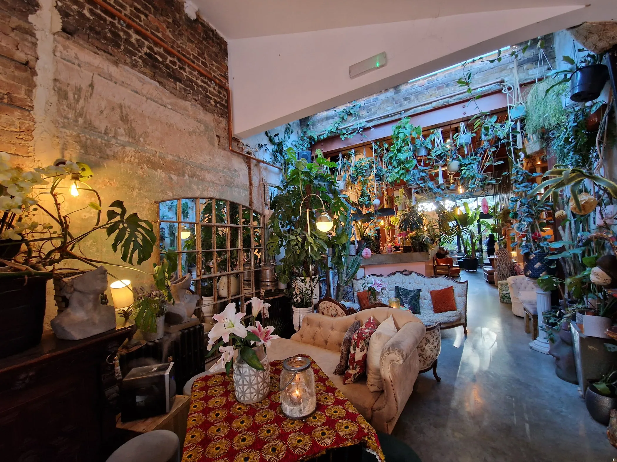 Zapoi | TortoisePath | United Kingdom ????