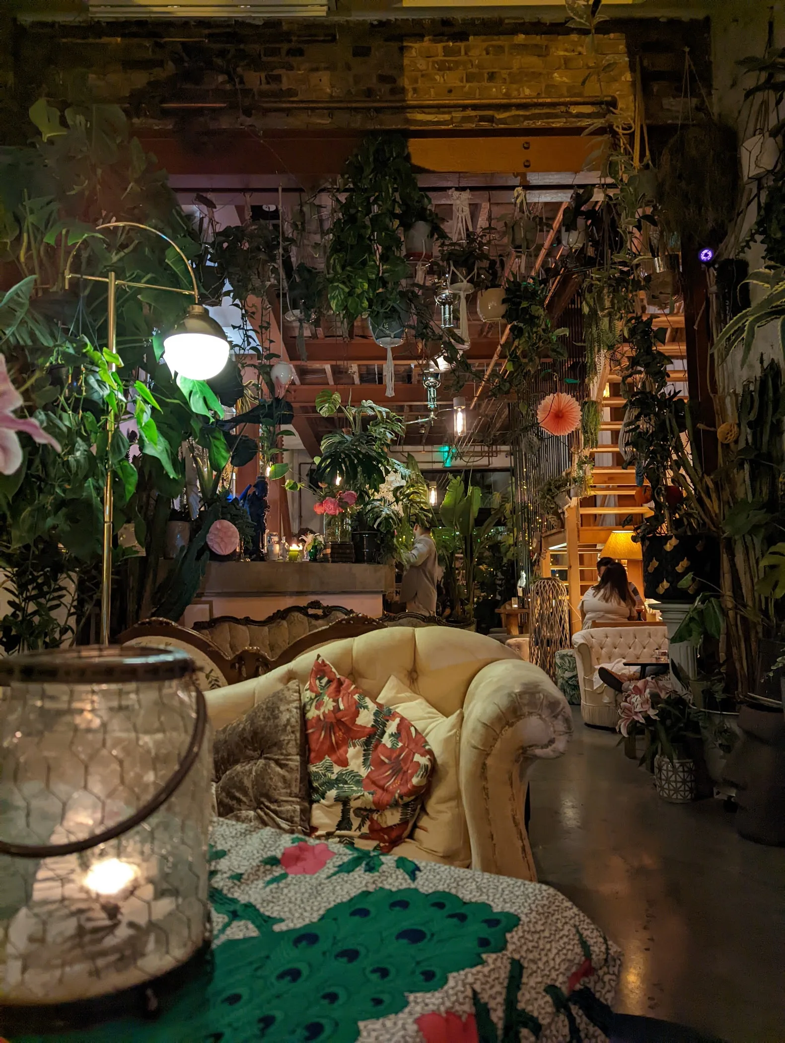 Zapoi | TortoisePath | United Kingdom ????