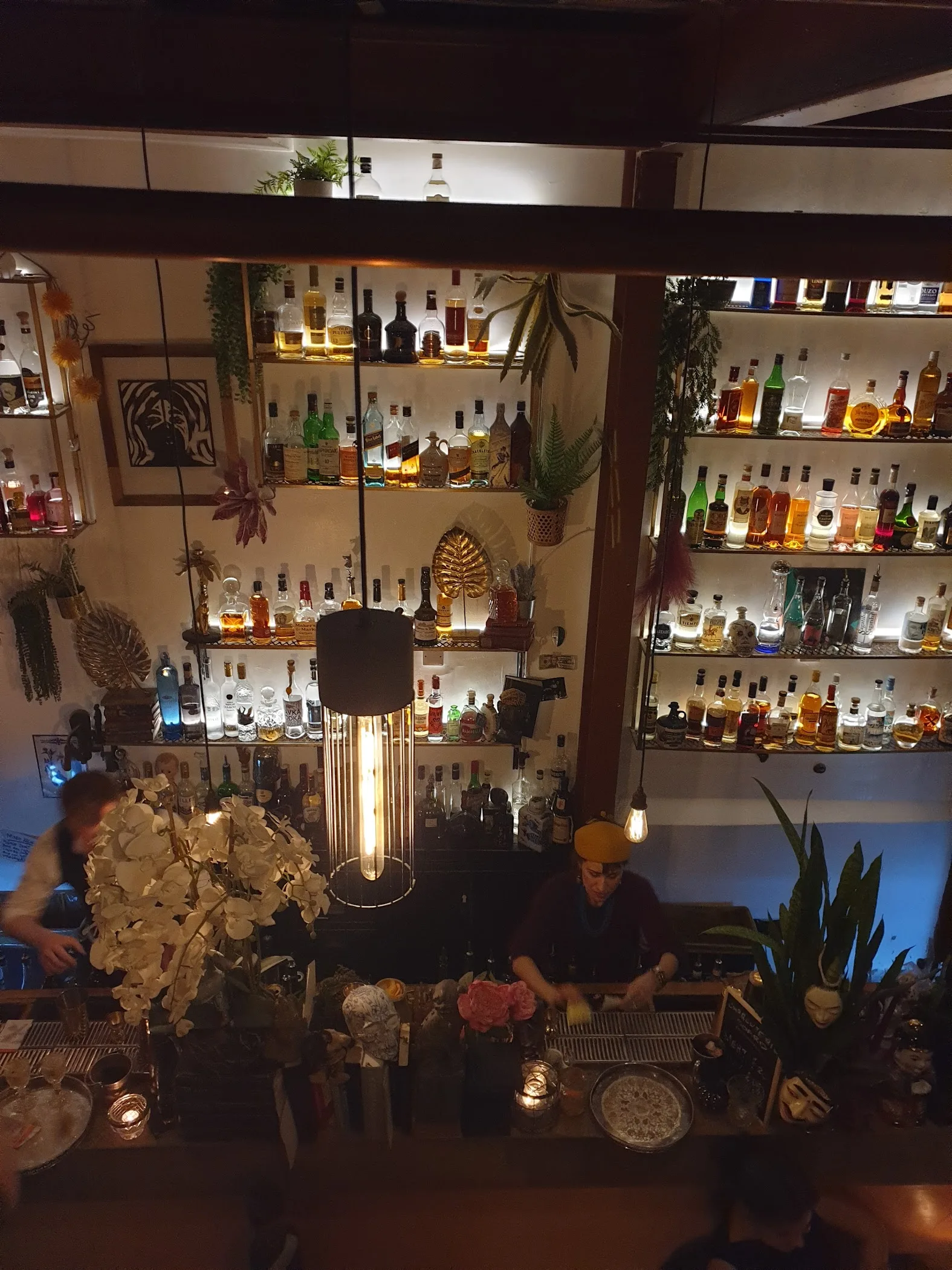 Zapoi | TortoisePath | United Kingdom ????