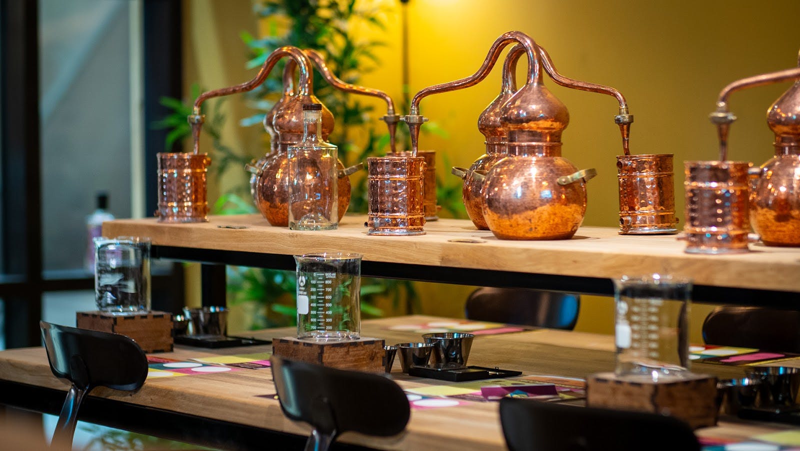 11 Central - >11 Central</a>