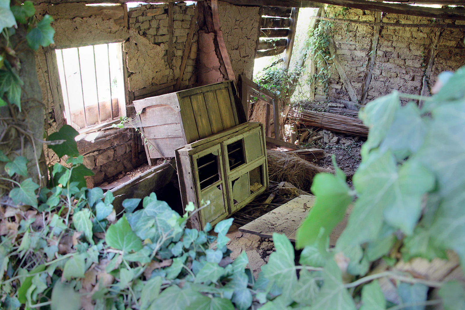 Farmers are abandoning land worldwide. What should happen to it? | Science  | AAAS