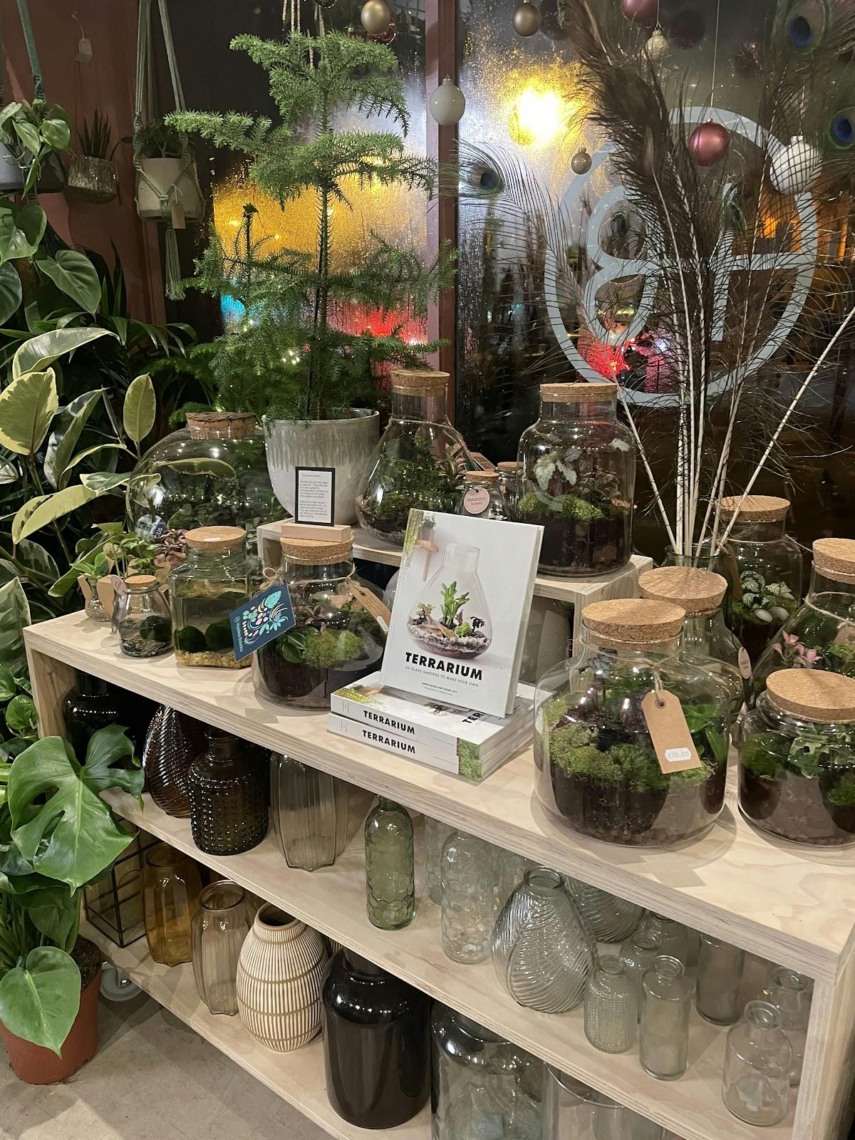 Botanical Boys - >R B</a>