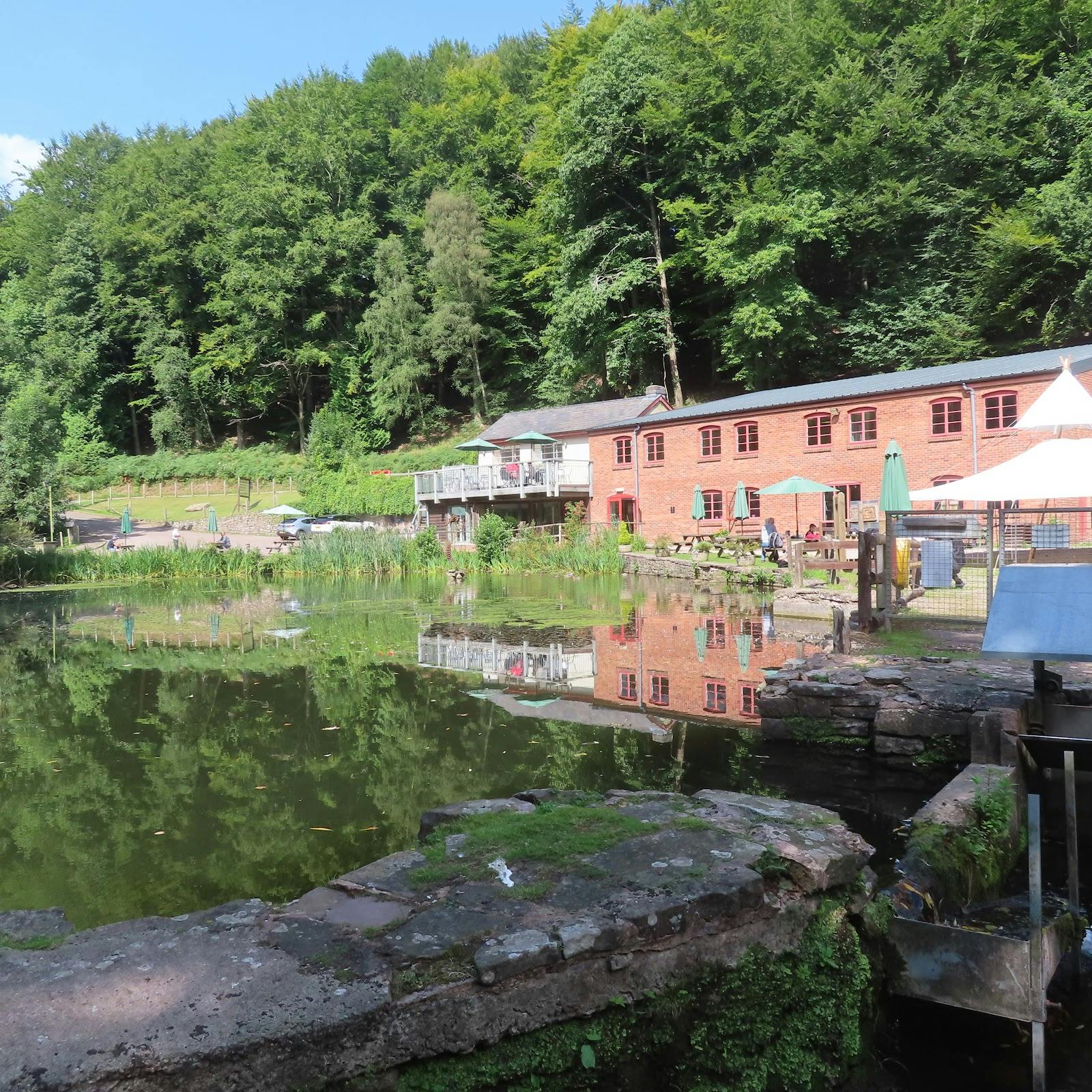 Dean Heritage Centre - >Dean Heritage Centre</a>