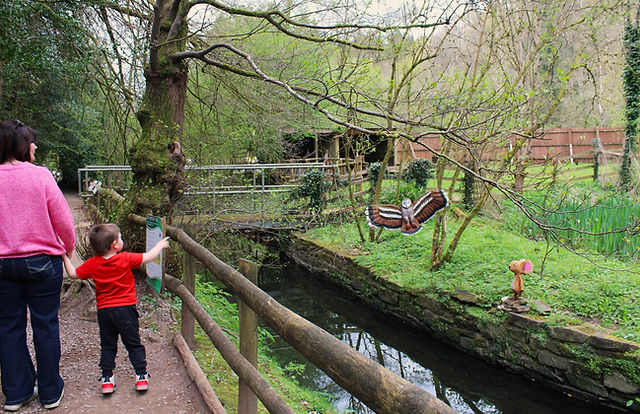 Home | Dean Heritage Centre, Gruffalo Trail, Play Area, Museum, Forest of  Dean, Gloucestershire,