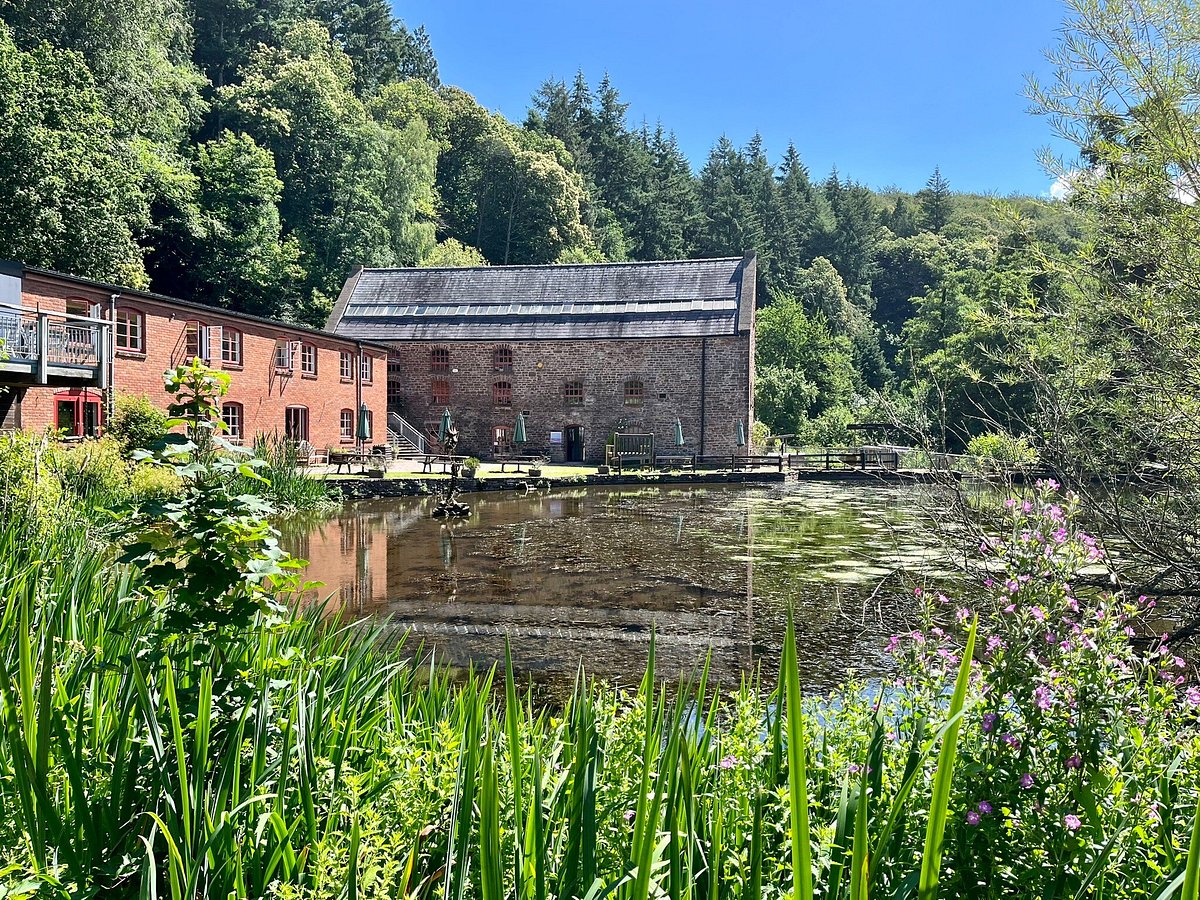 DEAN HERITAGE CENTRE (2025) All You Should Know BEFORE You Go (w/ Reviews)