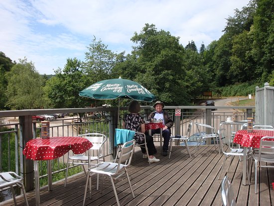 Cafe overlooking the lake.Dogs welcome and water provided for them. -  Picture of Dean Heritage Centre, Soudley -
