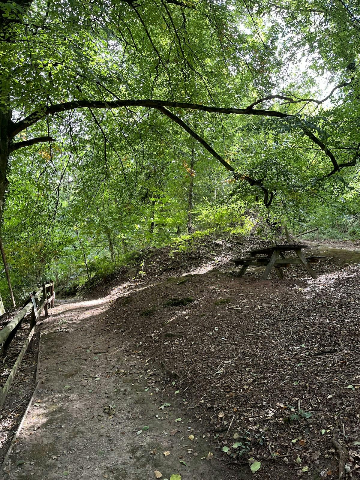 Dean Heritage Centre - >Gabrielle</a>