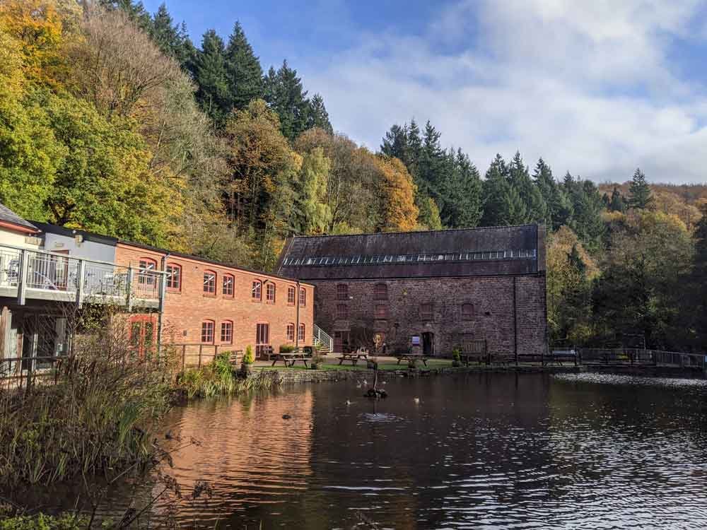 A visit to Dean Heritage Centre, Forest of Dean - Chimptrips