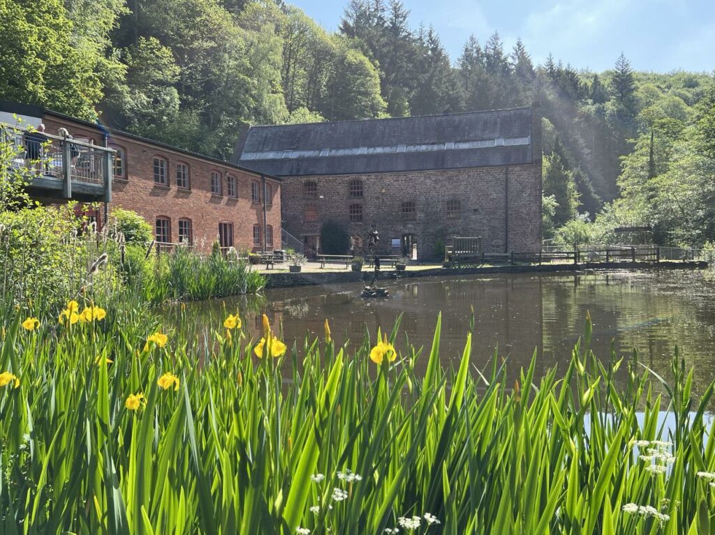 Dean Heritage Museum Trust - Kids in Museums