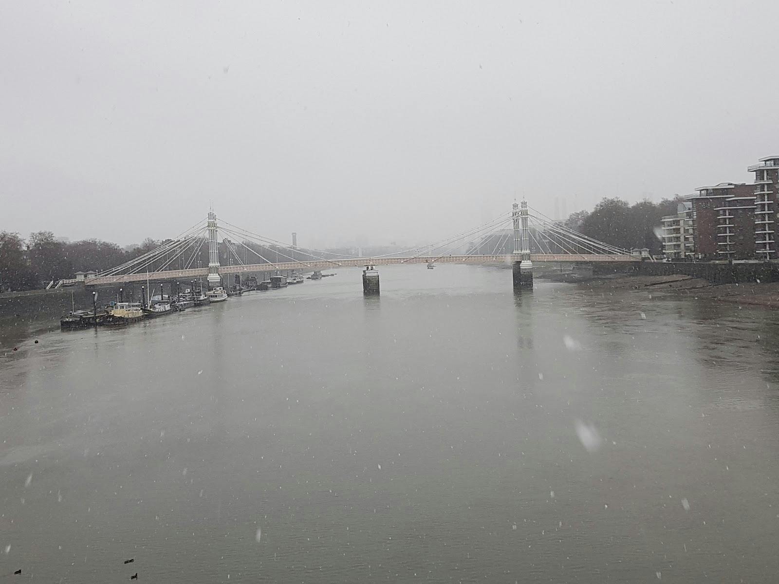 503Studio - >vincenzo faulisi</a>