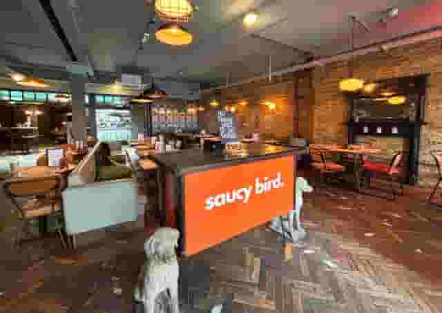 Saucy Bird Bromley