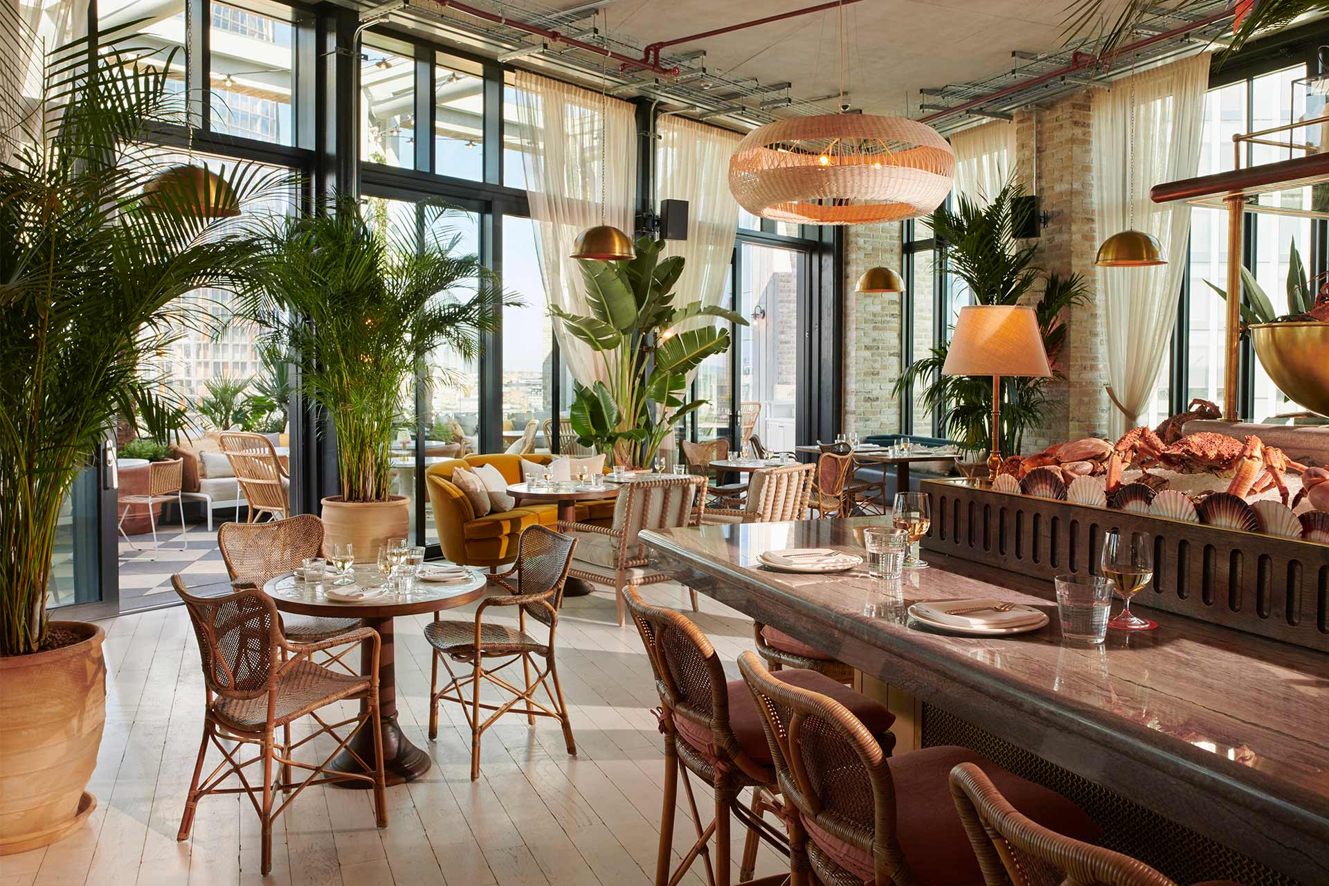 The Rooftop - 553d54e1-b2b2-41df-aa69-757e15c20012.jpeg