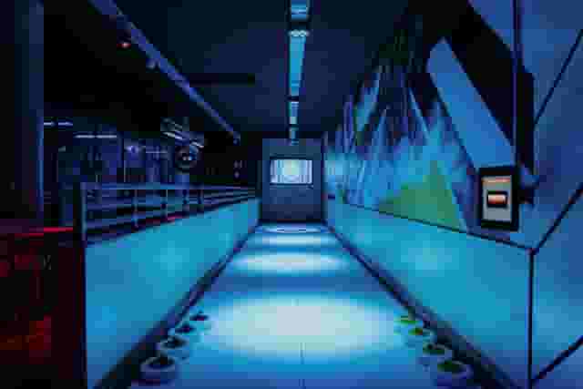 Roxy Lanes +1 more