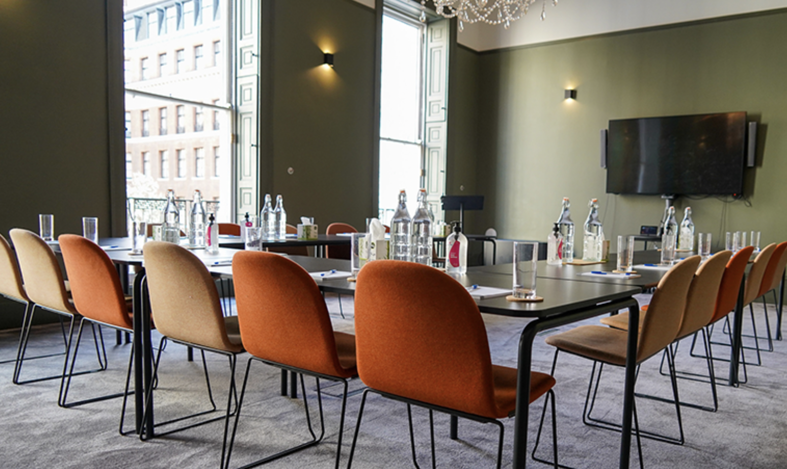 Mary Brancker in a modern meeting room at the British Veterinary Association for professional workshops.