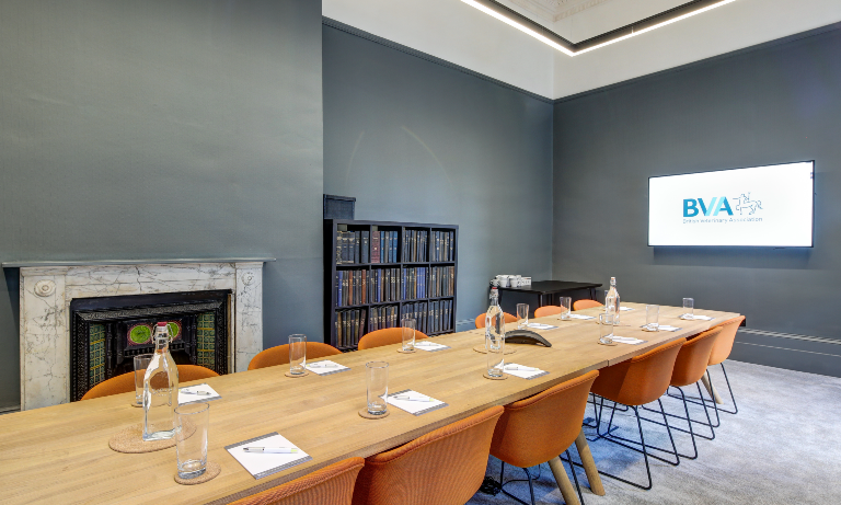 Modern meeting room with Aleen Cust and sleek long table, ideal for collaboration.