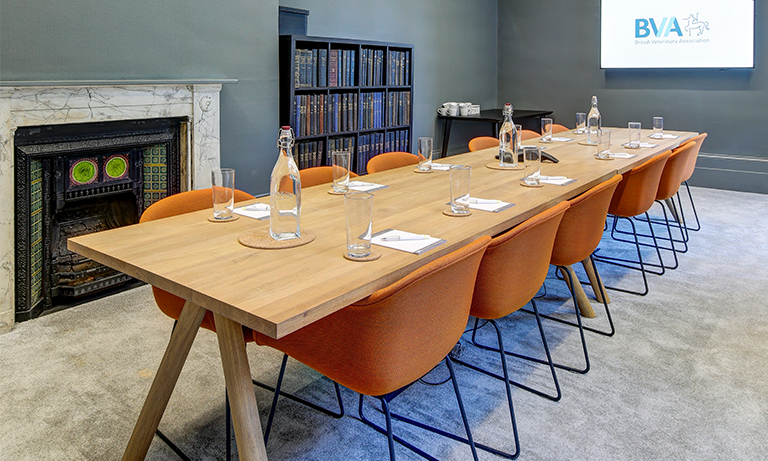 Aleen Cust in a stylish meeting room with a long table, ideal for corporate workshops.