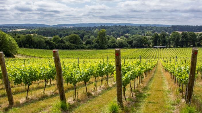 Venue Overview - 1d74544a-783b-41cd-9638-a813da32f046.jpg