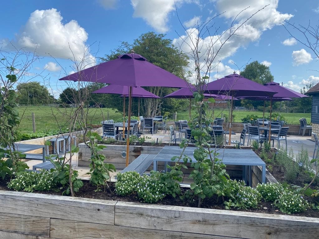 The Dinton Hermit - >The Dinton Hermit</a>