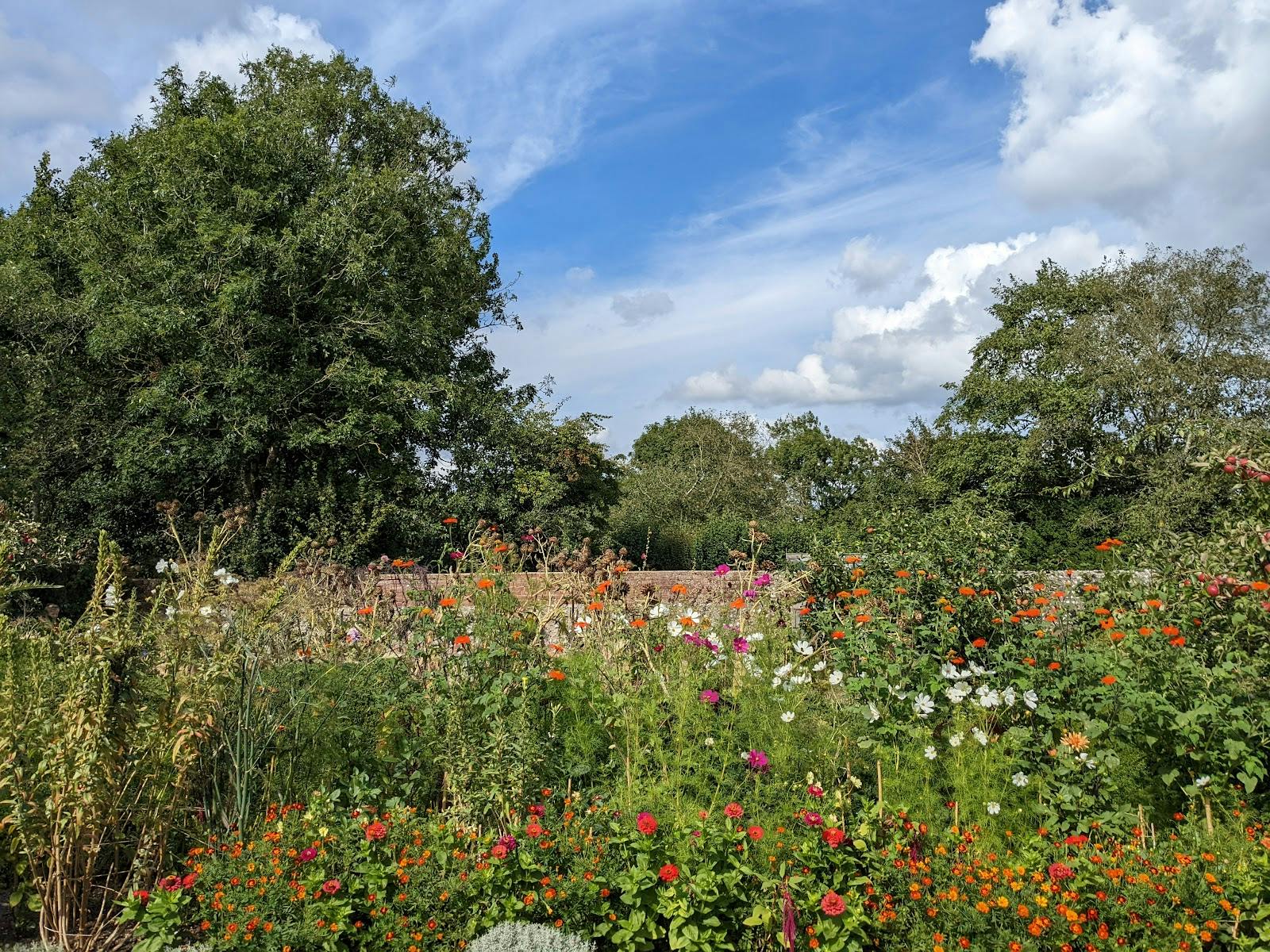 Charleston - >Neil Webster</a>