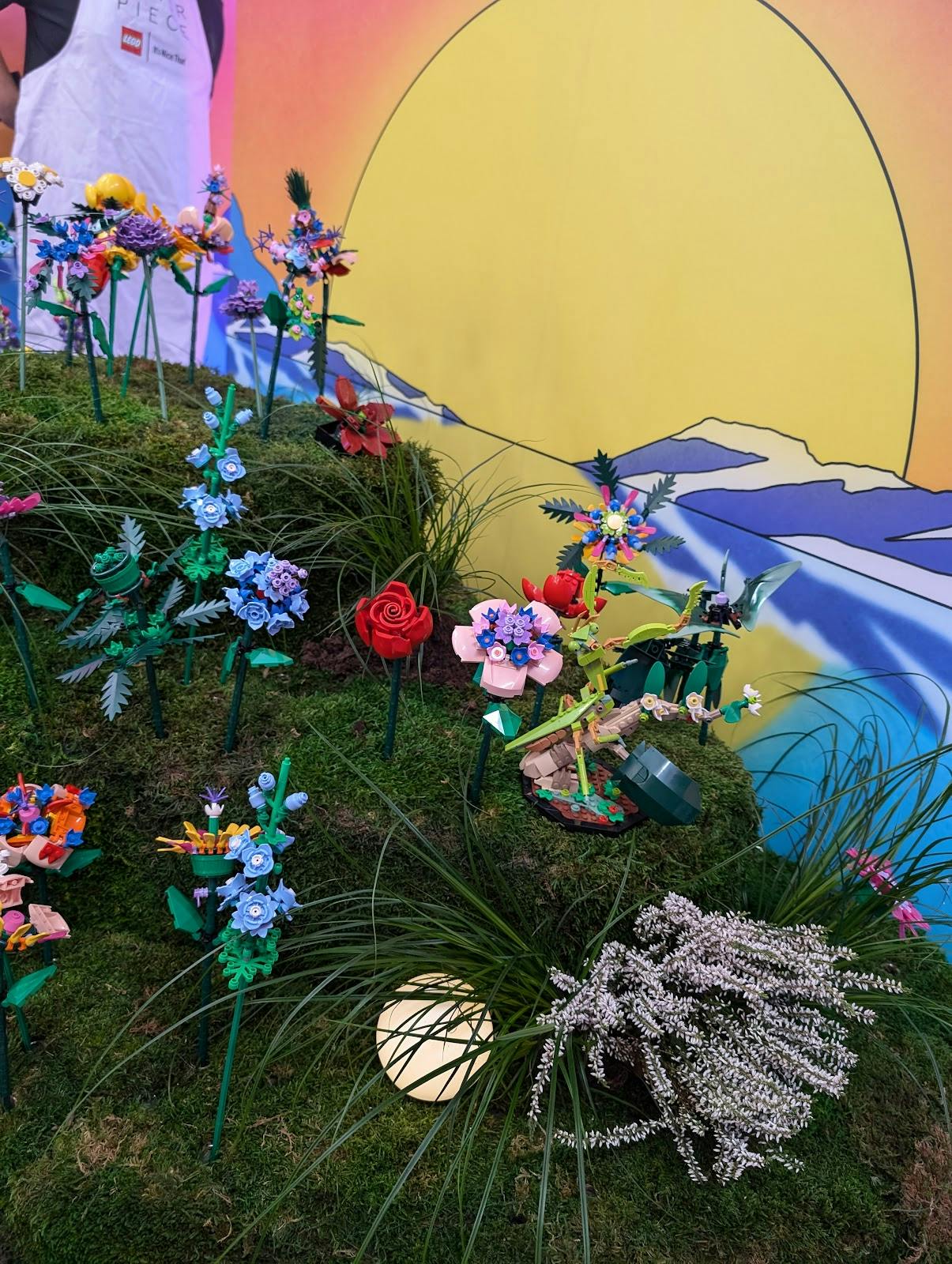 PM/AM - >Viki Jackson</a>