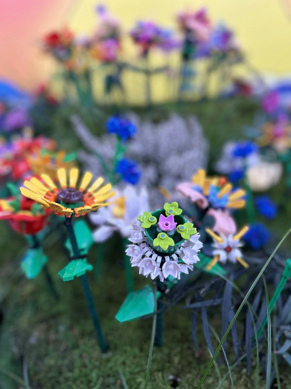 PM/AM - >Ulviyya Taghi-zade</a>