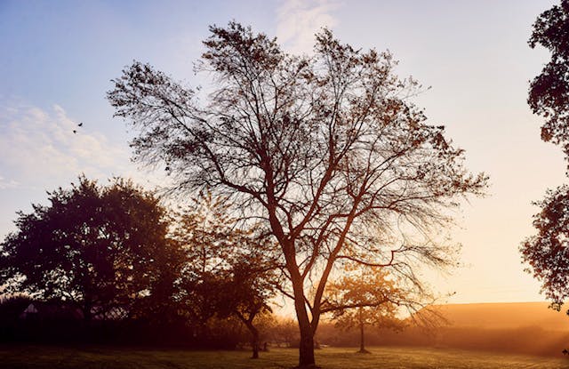 The Coppleridge Inn - >The Coppleridge Inn</a>