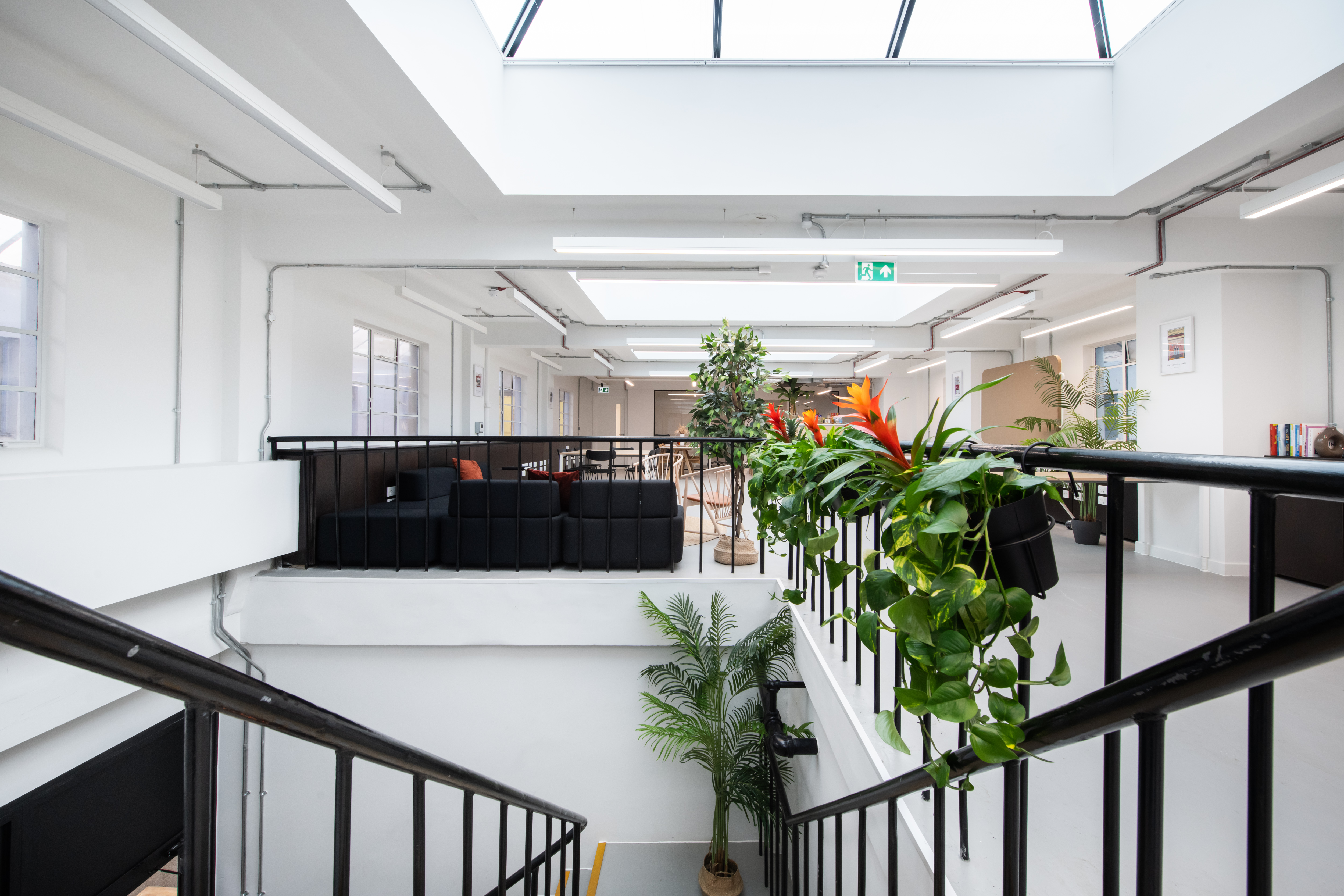 The First Floor - 7fa76cb4-bf60-4cb0-9544-477ce8753b85.jpg