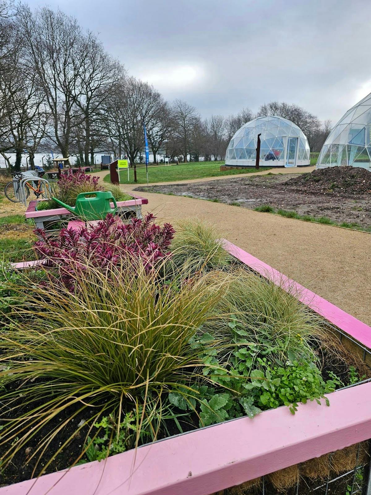 Ladywood - >Birmingham Settlement Nature &amp; Wellbeing Centre - Ladywood</a>