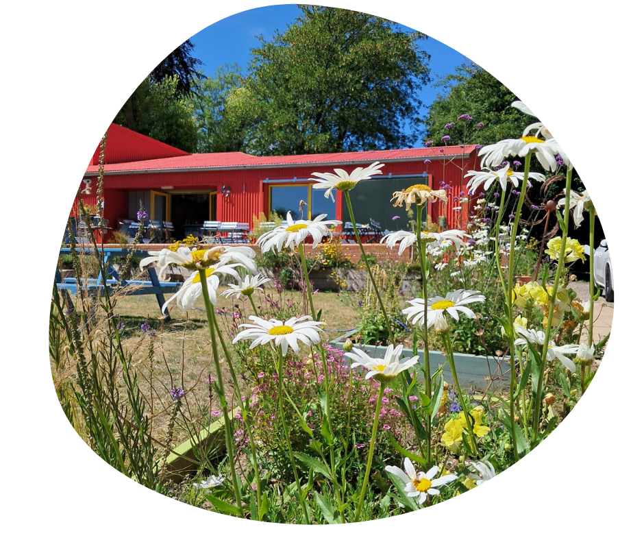 Ladywood | Birmingham Settlement