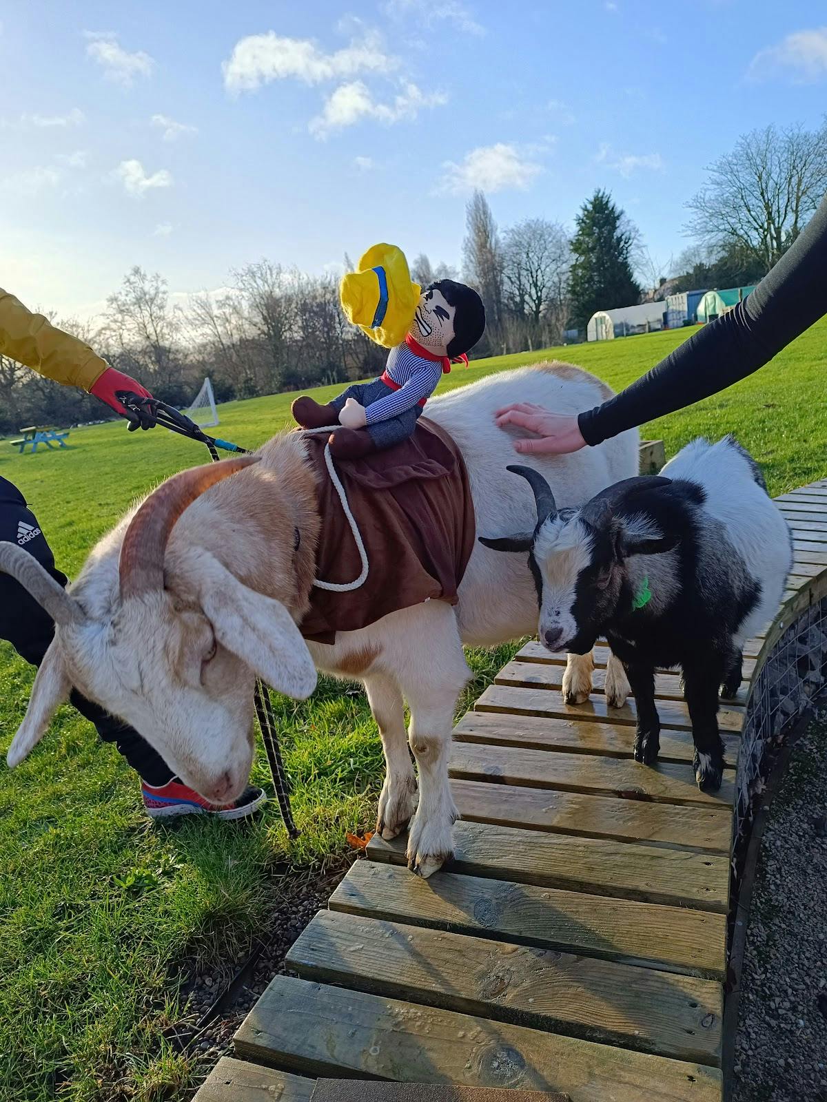 Ladywood - >Rodney Garnes</a>