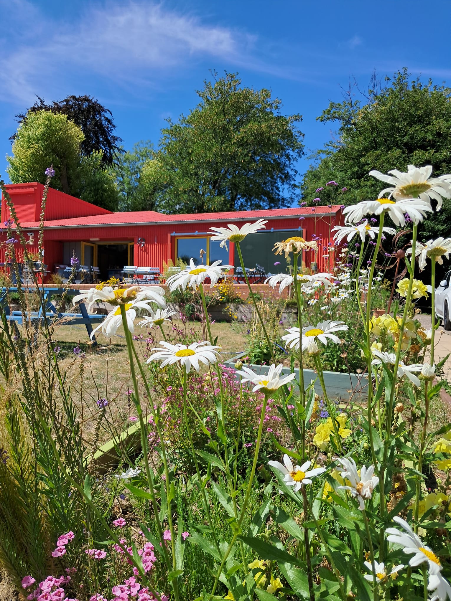 The Red Shed - 1f53c1e2-d628-4159-962d-d60a0983ffe9.jfif