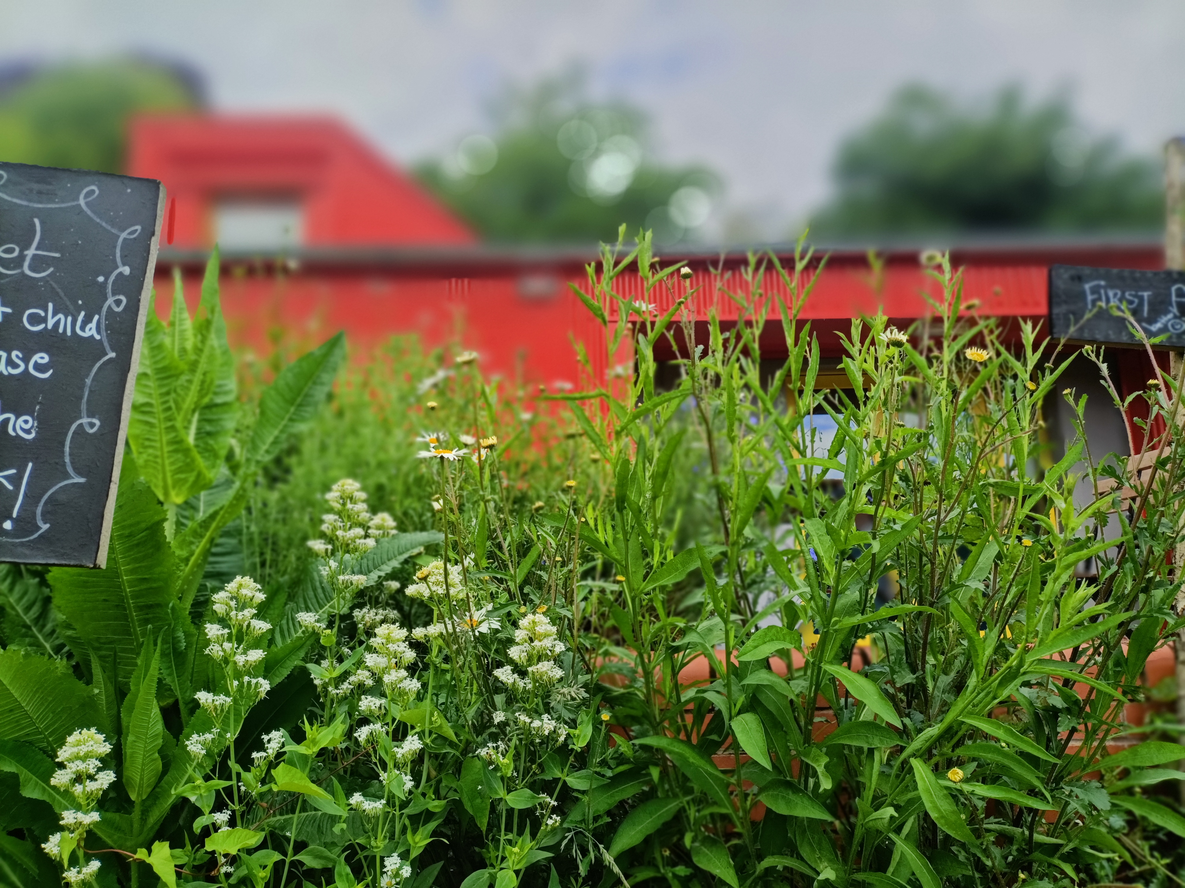 The Red Shed - 562cb9ab-bfe6-44c8-8e45-7dd576dc9bba.jpg