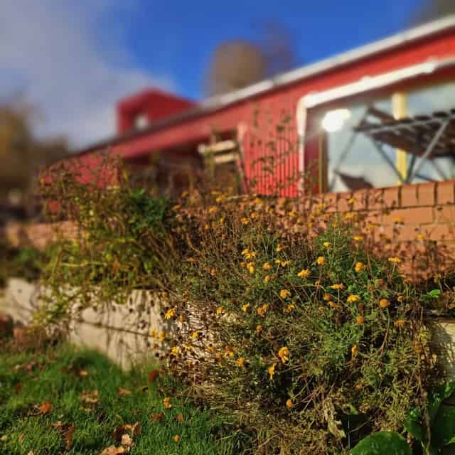 The Red Shed
