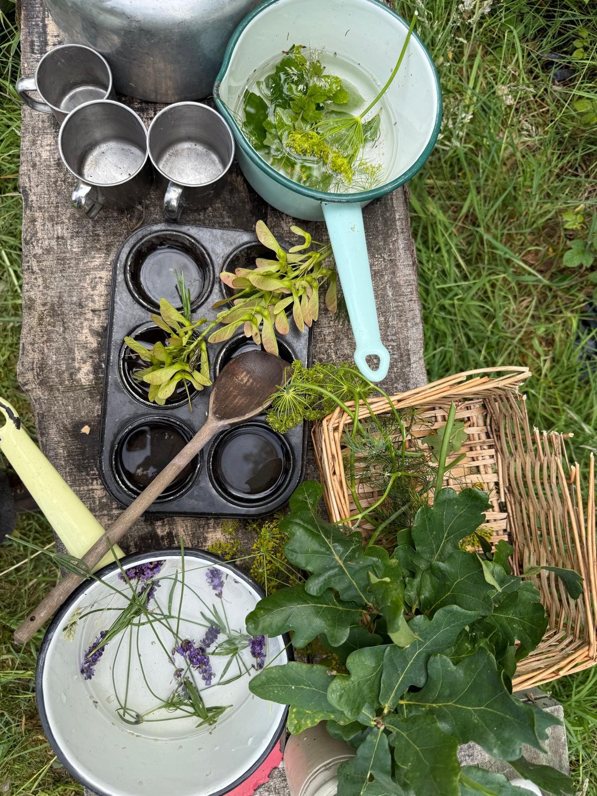 Nature Zone - cd31bfa4-9de0-4ff0-aace-b8b7720883d5.jpg